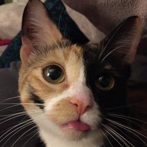 Meet your Posher, Patty